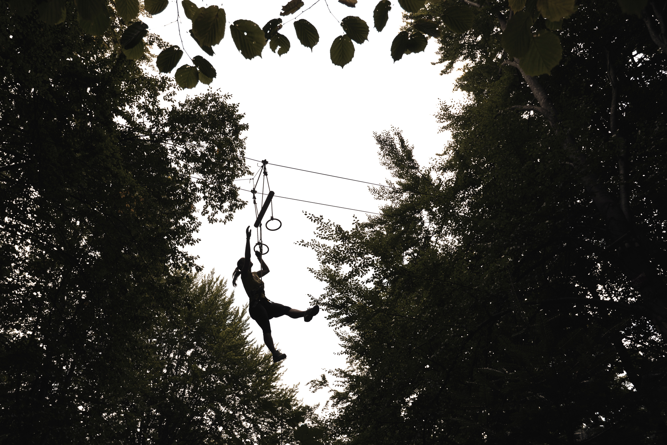 accro branche cancale 3