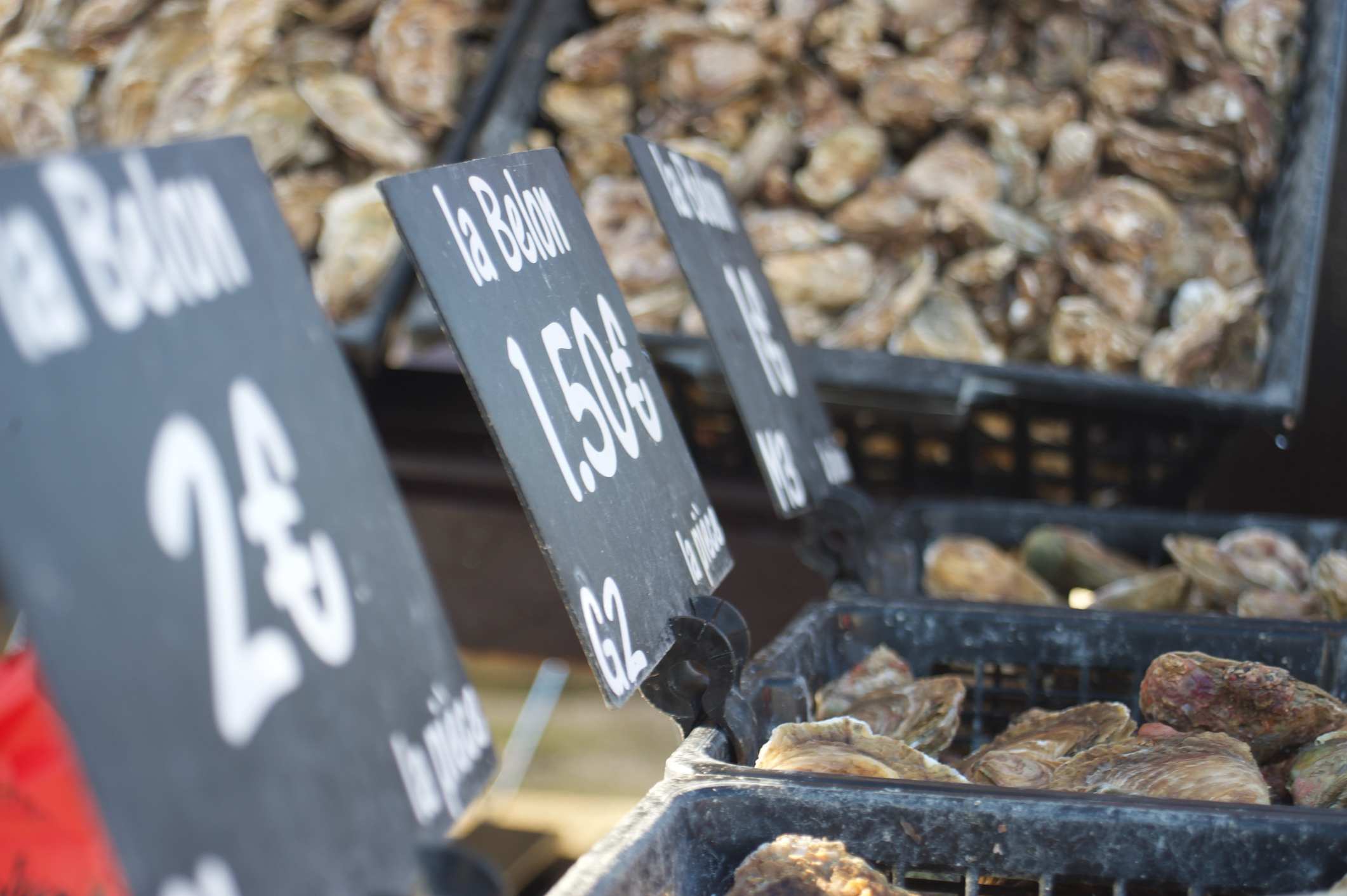 marche cancale 2